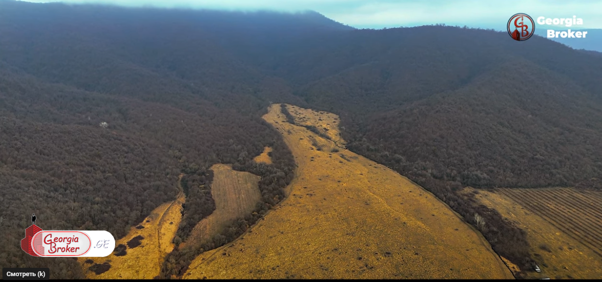 agricultural land for sale