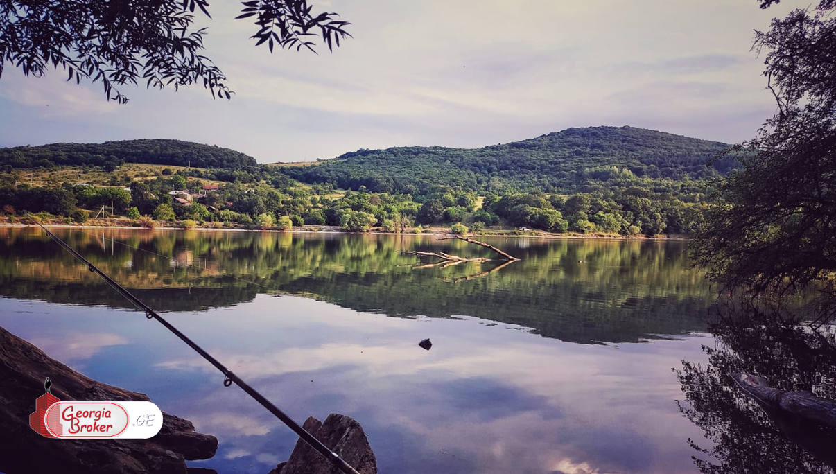 იყიდება საინვესტიციო მიწის ნაკვეთი ლიპის ტბასთან