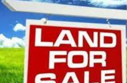 იყიდება  28 ჰა სამეურნეო მიწის ნაკვეთი, გამარჯვებაში