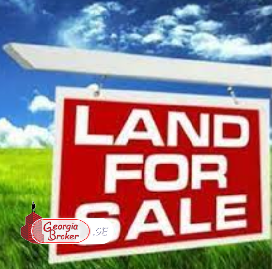 იყიდება  28 ჰა სამეურნეო მიწის ნაკვეთი, გამარჯვებაში