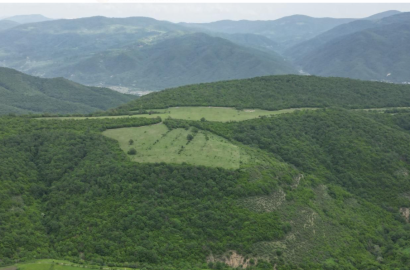 იყიდება საინვესტიციო მიწის ნაკვეთი 6 ჰა