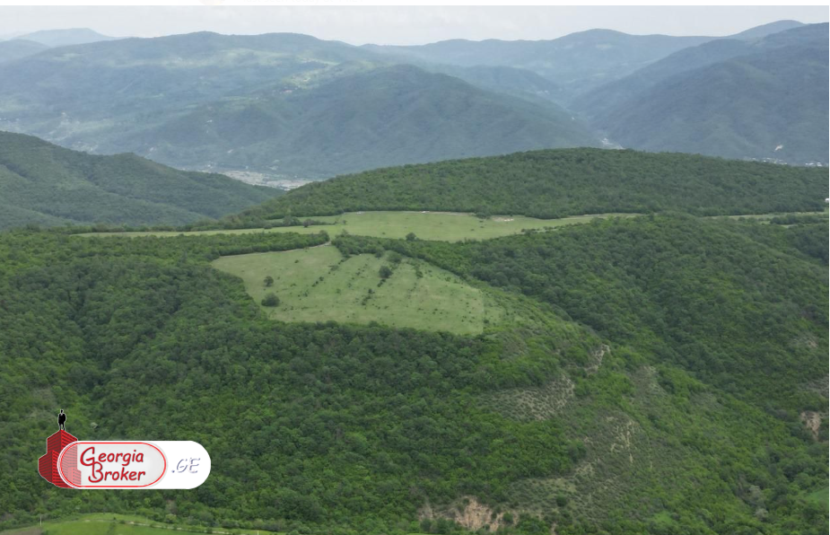 იყიდება საინვესტიციო მიწის ნაკვეთი 6 ჰა