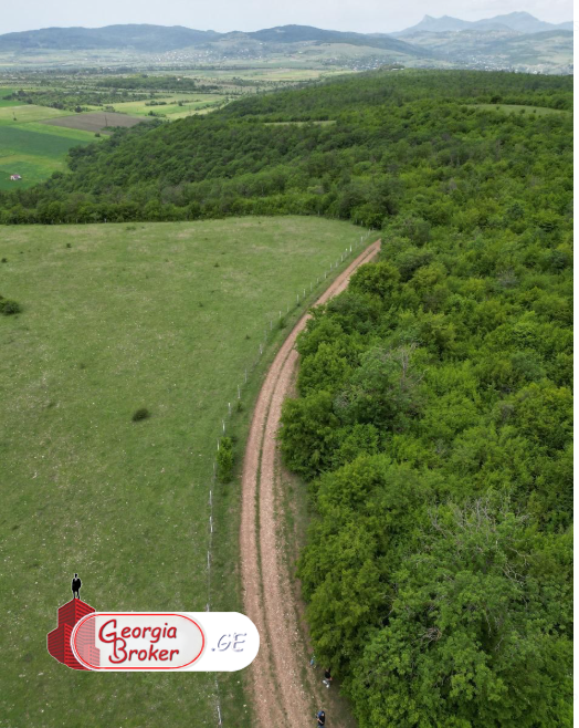 იყიდება საინვესტიციო მიწის ნაკვეთი 6 ჰა