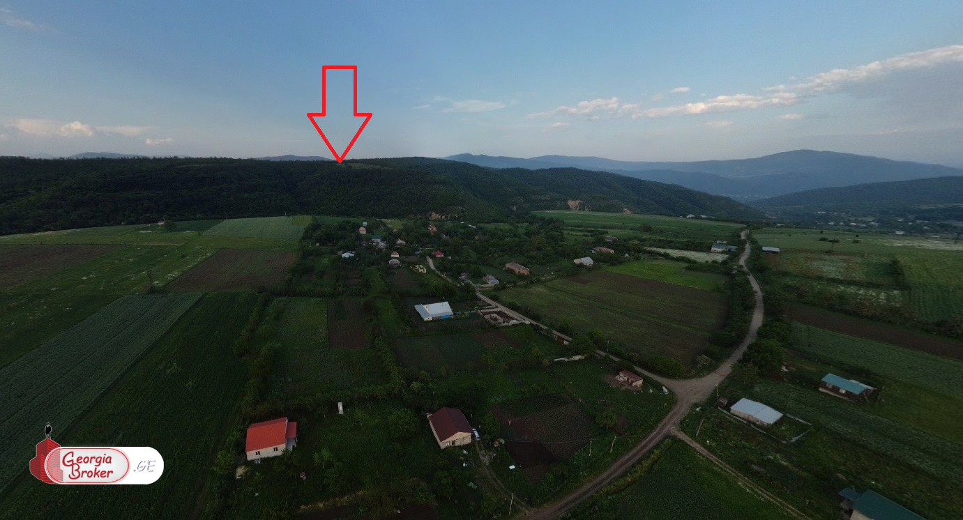 იყიდება საინვესტიციო მიწის ნაკვეთი 6 ჰა