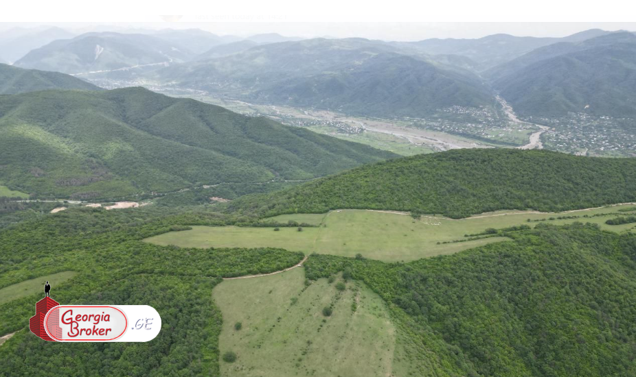 იყიდება 6ჰა ტყეში ინტეგრირებული  მიწის ნაკვეთი