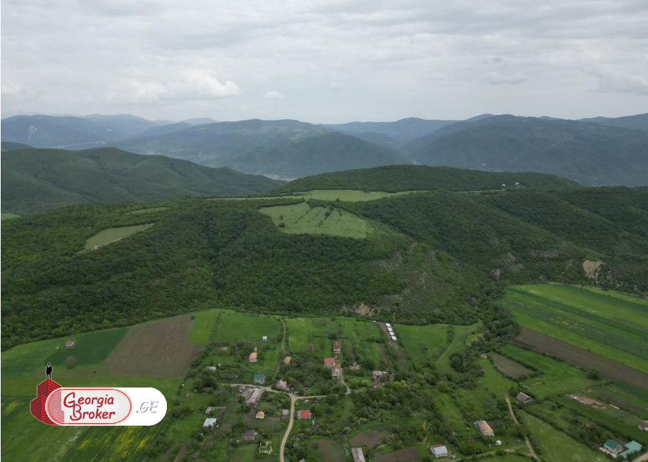 იყიდება 6ჰა ტყეში ინტეგრირებული  მიწის ნაკვეთი