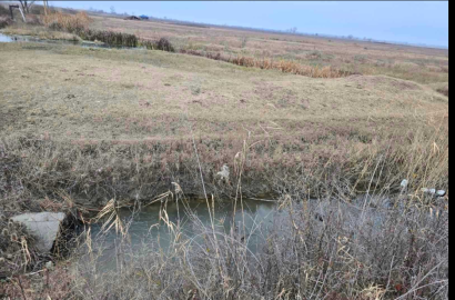 продается сельскохозяйственная Земля