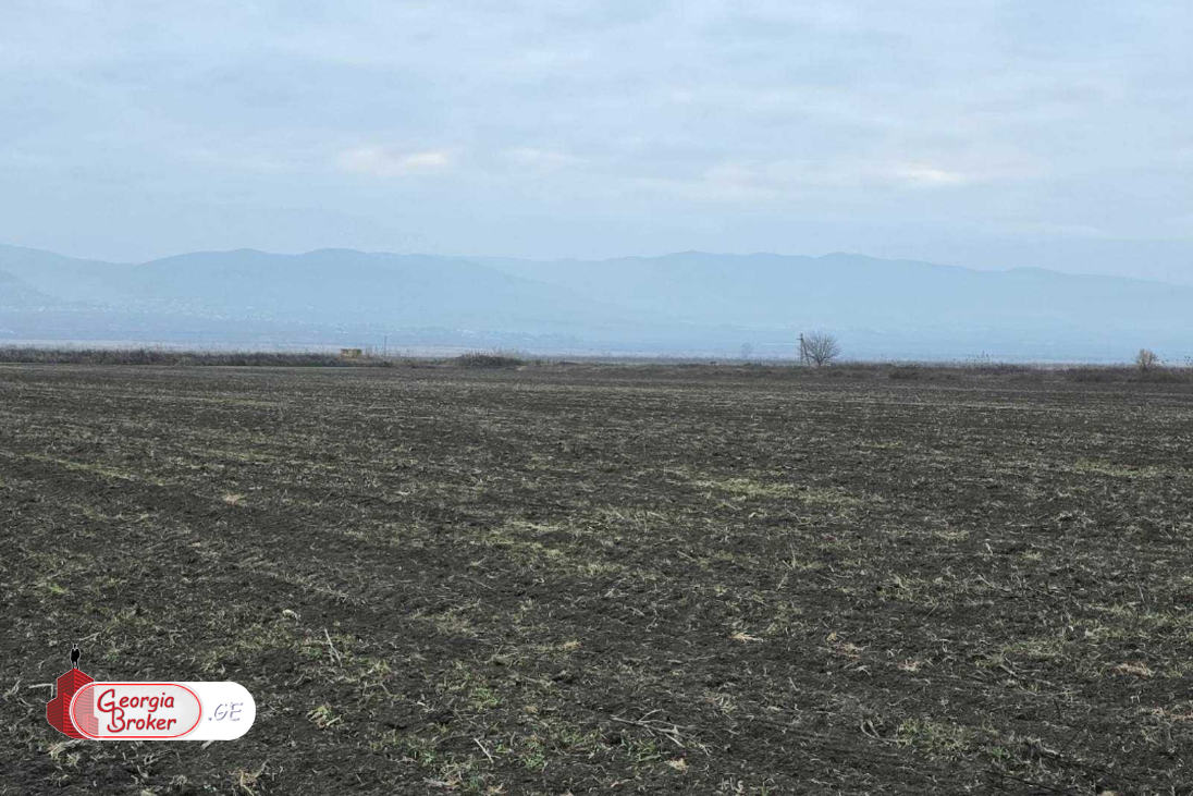 продается сельскохозяйственная Земля