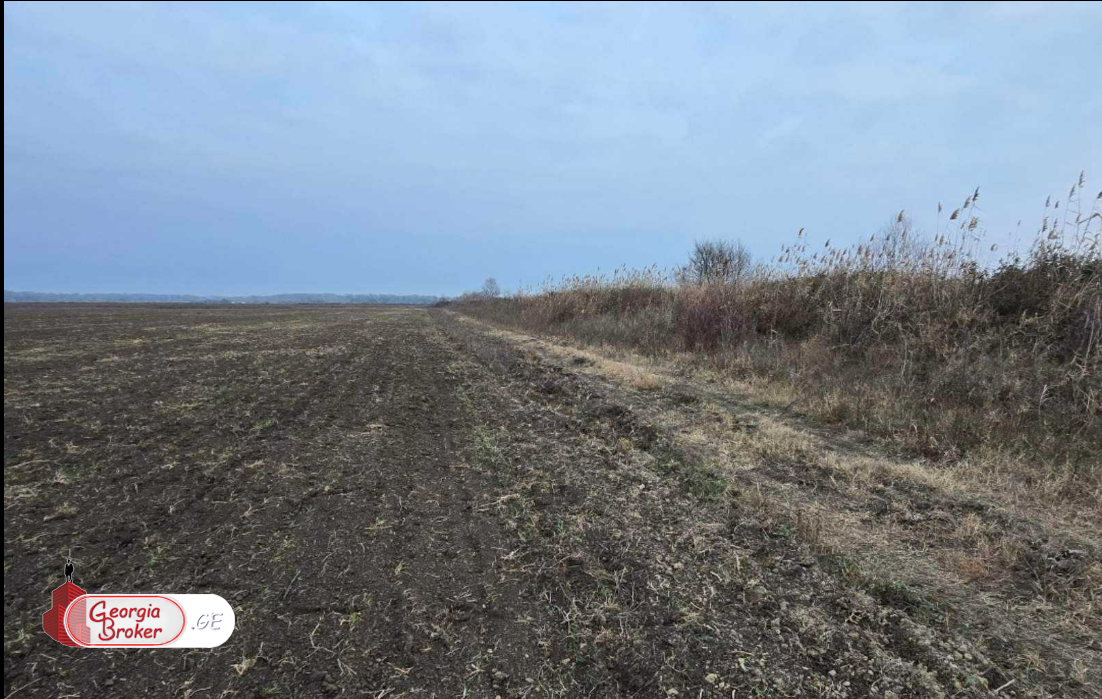 продается сельскохозяйственная Земля