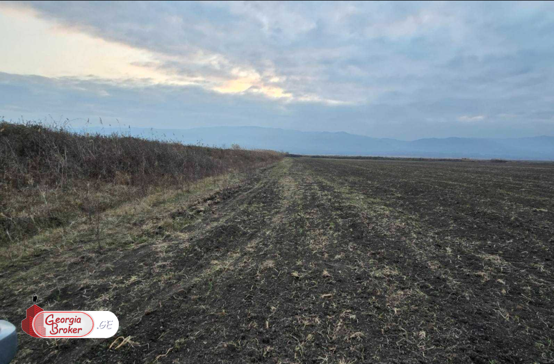 продается сельскохозяйственная Земля