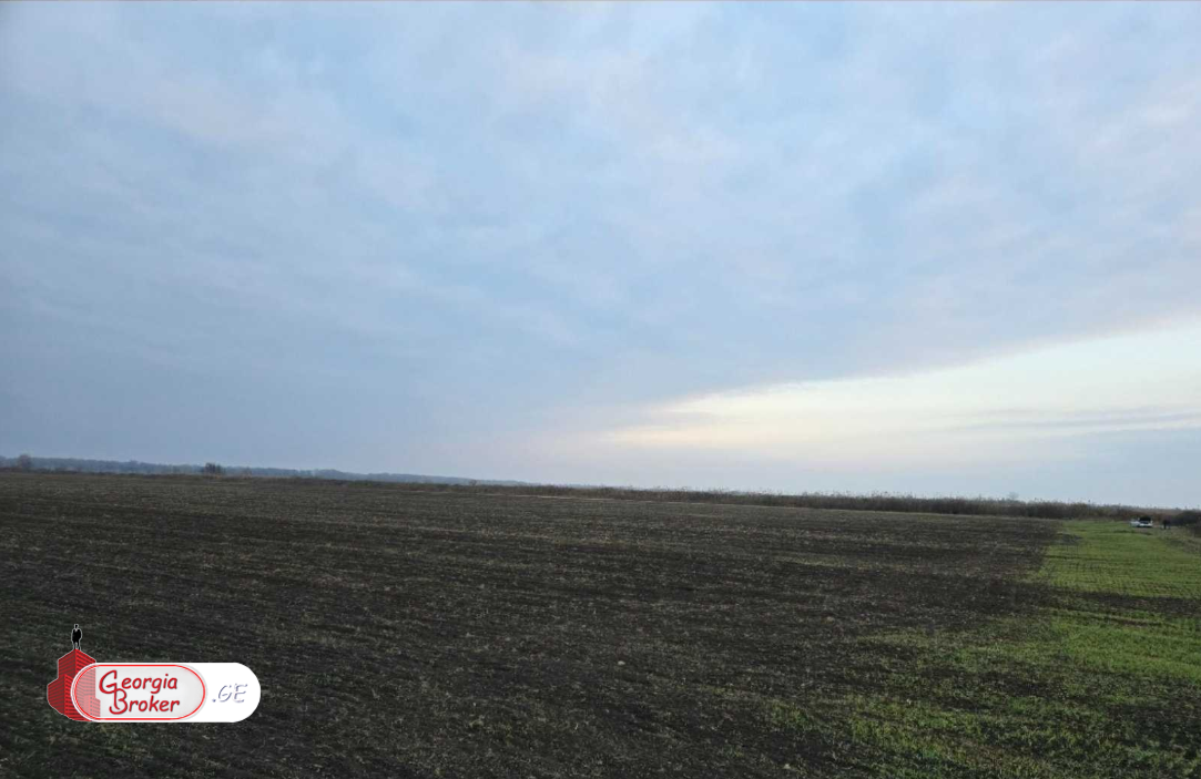 продается сельскохозяйственная Земля