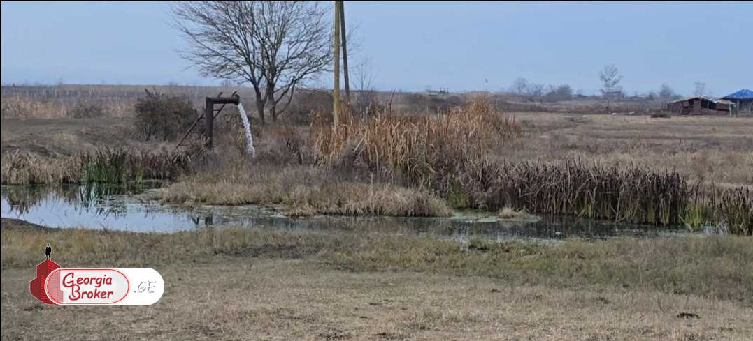 продается сельскохозяйственная Земля