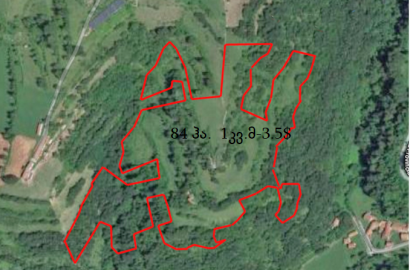 продается сельскохозяйственная Земля