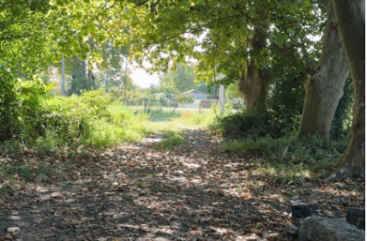 იყიდება  მიწის ნაკვეთი ლაგოდეხში