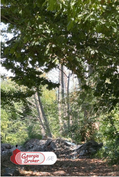 იყიდება  მიწის ნაკვეთი ლაგოდეხში