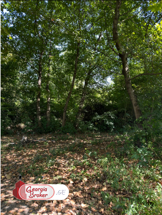 იყიდება  მიწის ნაკვეთი ლაგოდეხში