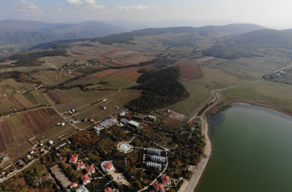 იყიდება მიწის ნაკვეთი ტანჩოსთვის(ბაზალეთის ტბის მიმდებარეთ)