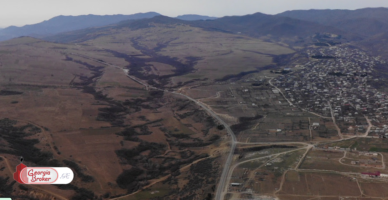 იყიდება  1 ჰექტარი სამეურნეო მიწის ნაკვეთი