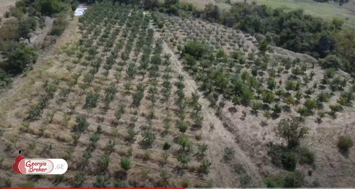 продается Земля для инвестиций