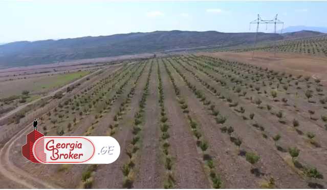 agricultural land for sale