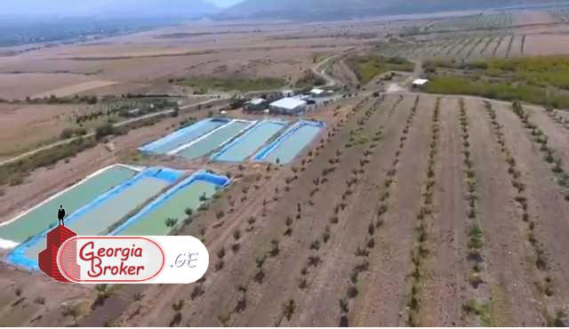 agricultural land for sale