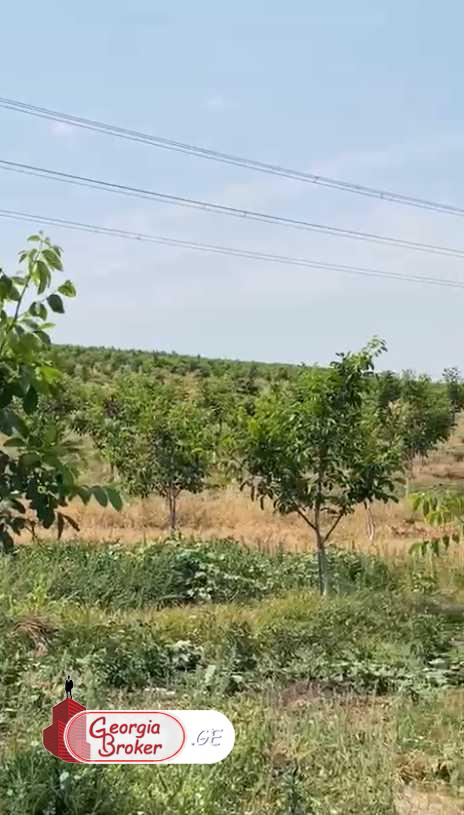 agricultural land for sale