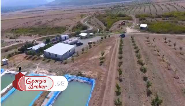 agricultural land for sale