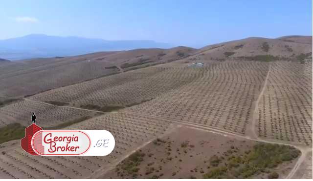 agricultural land for sale