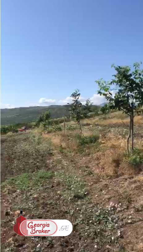 agricultural land for sale