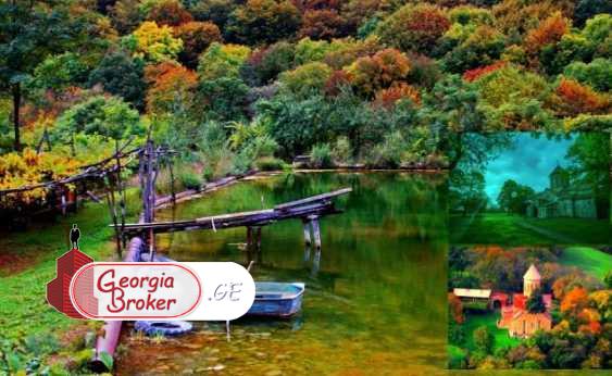 agricultural land for sale