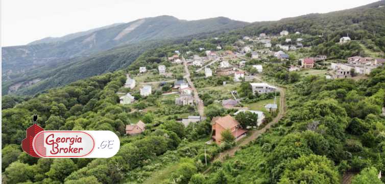 agricultural land for sale