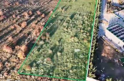 3000კვ.მ მიწა წავკისში