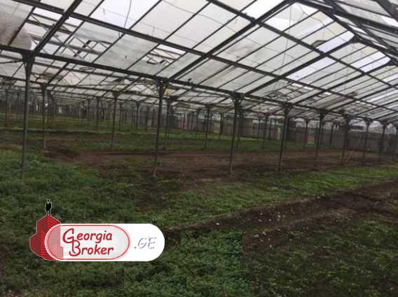 продается сельскохозяйственная Земля