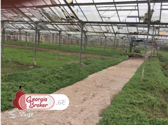 продается сельскохозяйственная Земля