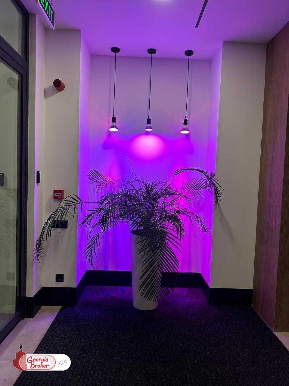 nearly repaired office space for rent