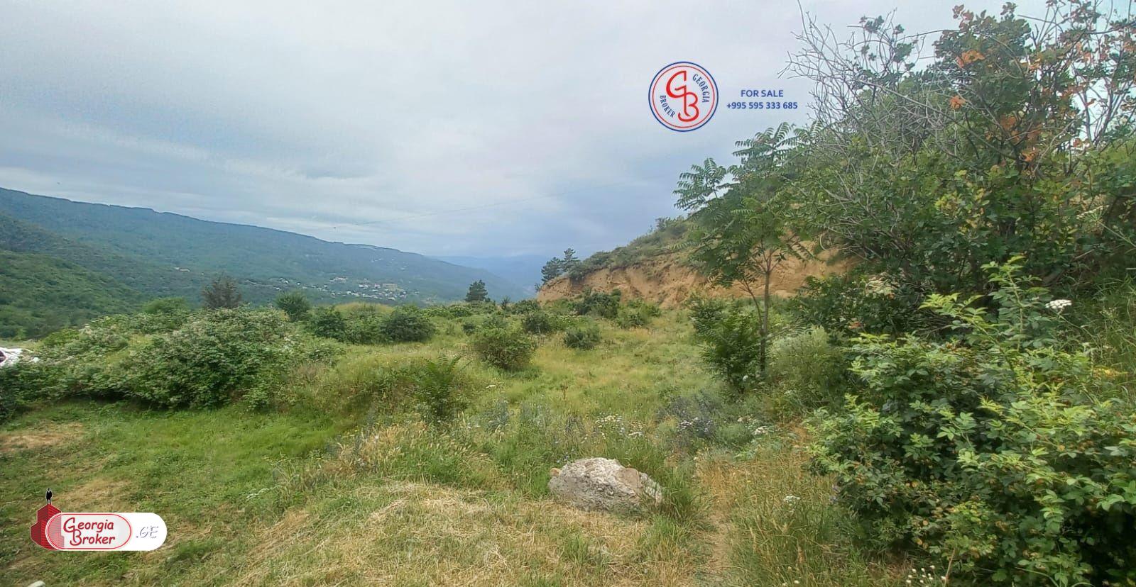 продается сельскохозяйственная Земля