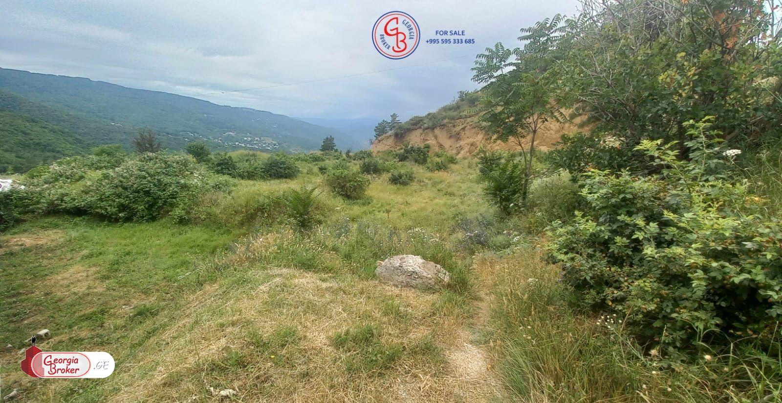 продается сельскохозяйственная Земля