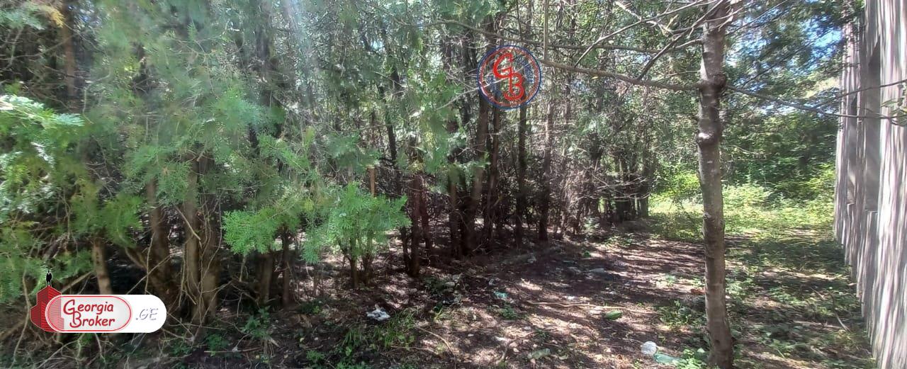 продается сельскохозяйственная Земля