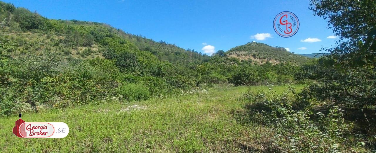 продается сельскохозяйственная Земля