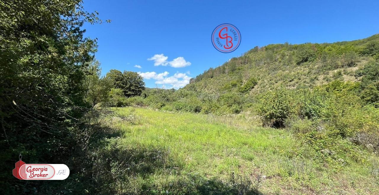 продается сельскохозяйственная Земля