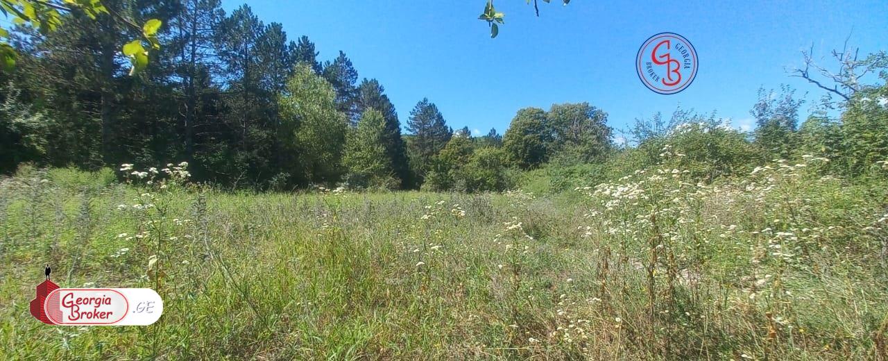 продается сельскохозяйственная Земля