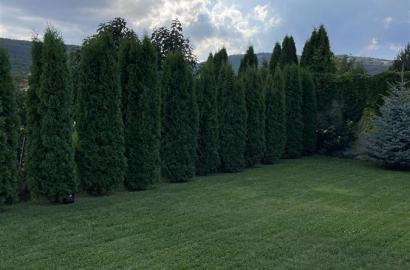 в аренду дом с новым ремонтом 7-комнат