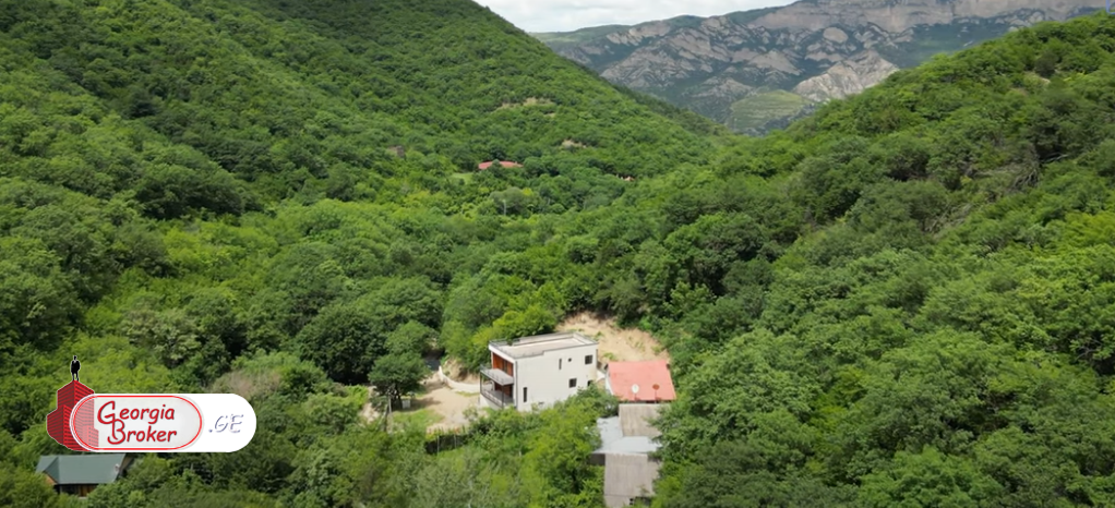 new build 8-room house for sale