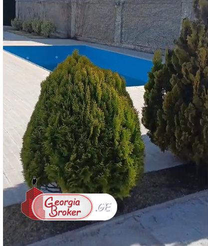 ქირავდება ახალი გარემონტებული 6 ოთახიანი სახლი წავკისში