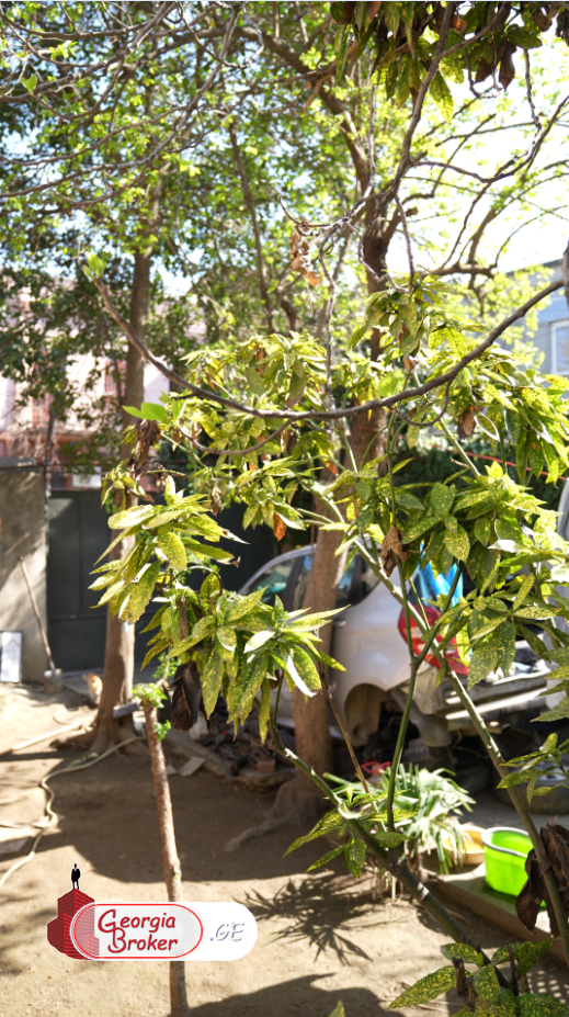 продается офис без ремонта 7-комнат