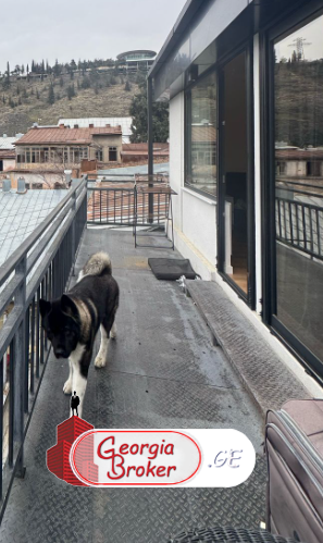 იყიდება ახალი გარემონტებული 4 ოთახიანი ბინა სოლოლაკში