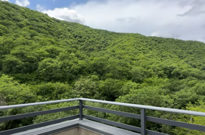 new build 8-room house for sale