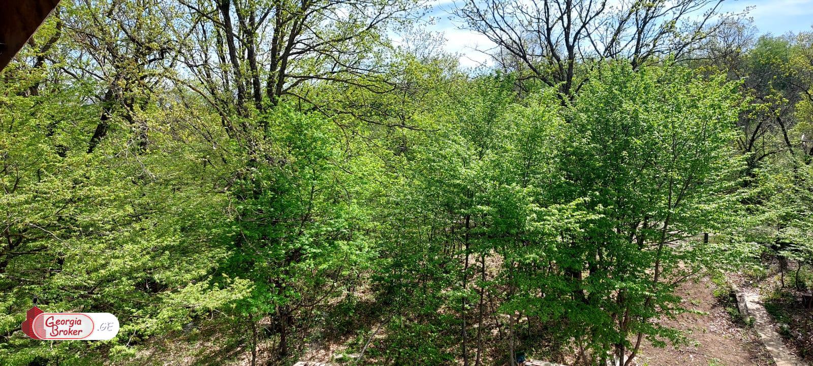 продается дом новостройка 9-комнат