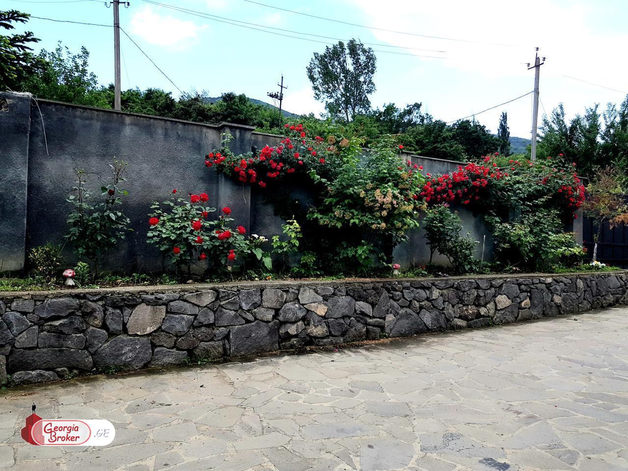 nearly repaired 10-room house for rent