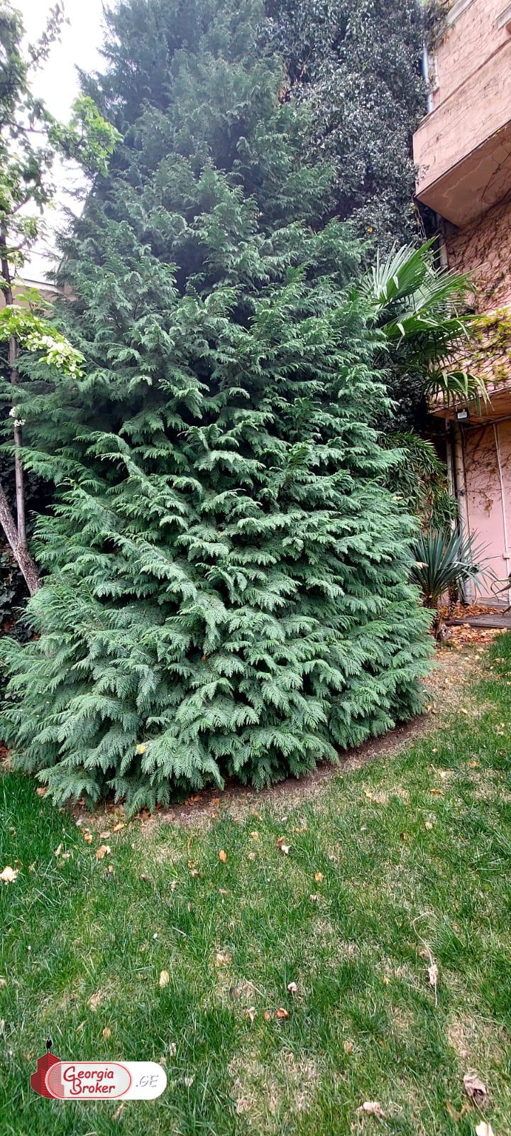 ქირავდება ახალი გარემონტებული 11 ოთახიანი სახლი საბურთალოზე